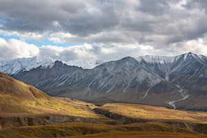 Denali National Park