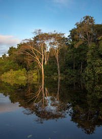Side channel of the Rio Negro