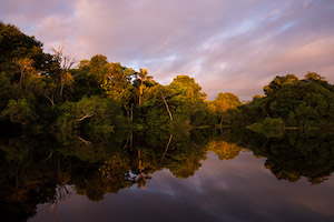 Sunset on the Rio Negro