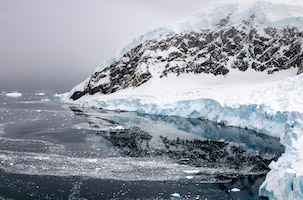 Neko Harbor, Antarctic Peninsula