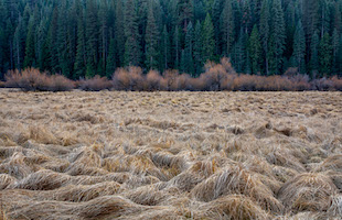 Autumn in Yosemite