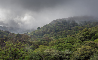 Monteverde Cloud Forest