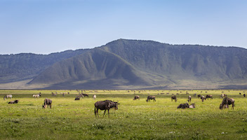 Ngorongoro Crater, Tanzania