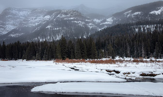 Yellowstone's Lamar Valley
