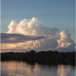 Amazon rainforest photo