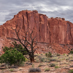 Utah redrock photo