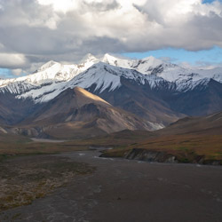 Denali National Park