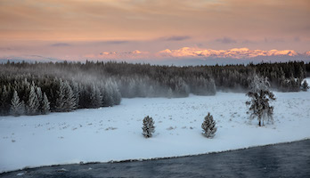 Sunrise on the Madison River