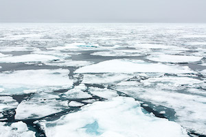 Sea ice north of Svalbard, only about 600 miles from the North Pole