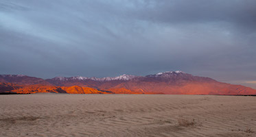 Winter dawn in the Mojave Desert