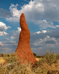 Termiite mound, Namibia